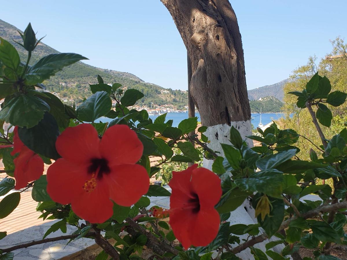 Villa Eleni Vathy  Buitenkant foto