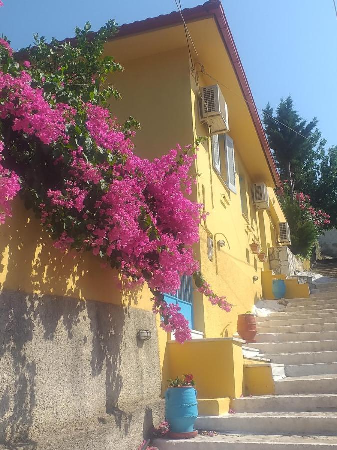 Villa Eleni Vathy  Buitenkant foto